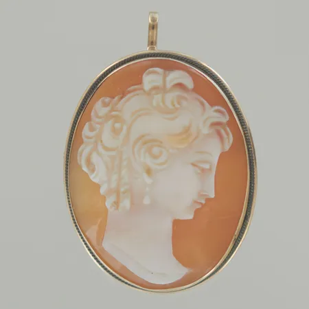 Hänge/brosch camé, längd 3,5 cm, bredd 2,5 cm, 18K bv 5,3 gr Vikt: 5,3 g