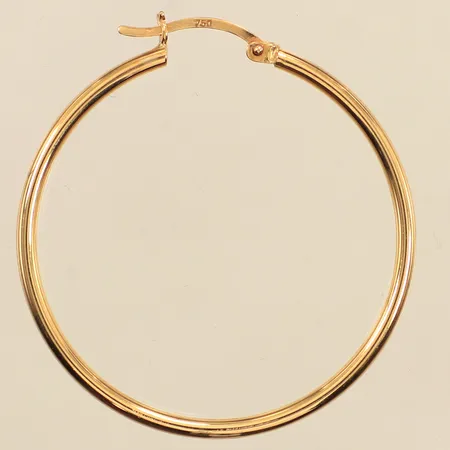 Ett udda örhänge, Ø37,4mm, 18K Vikt: 1,9 g