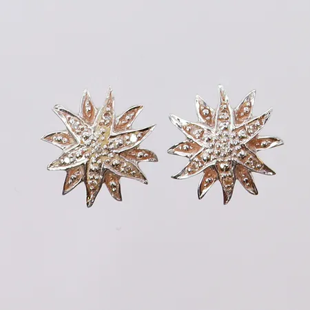 Ett par örhängen med diamanter 8/8-slipade 7x0,005ct, ca Ø10mm, vitguld. 18K  Vikt: 1,4 g