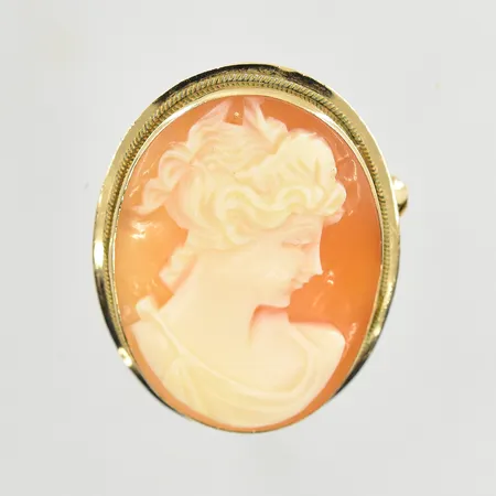 Hänge/brosch med Camé, längd 31 mm, bredd 21 mm, 18K. Vikt: 3,5 g