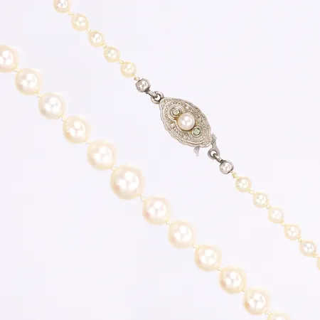 Pärlcollier, doserad, 55,5cm, bredd 3,5-7mm, silver i lås, odlade pärlor, 830/1000 silver, bruttovikt 14,8 g Vikt: 14,8 g
