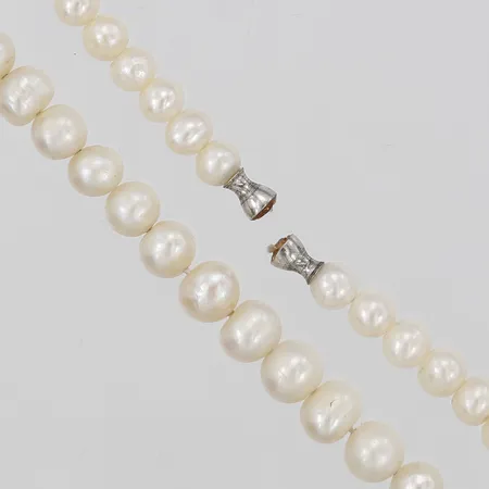 Pärlcollier med odlade sötvattenpärlor, passar till Ole Lynggaard-lås, längd: 43 cm, Ø 5 mm, lås ingår ej.