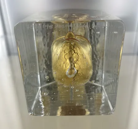 Bild av vara SE77.R204244