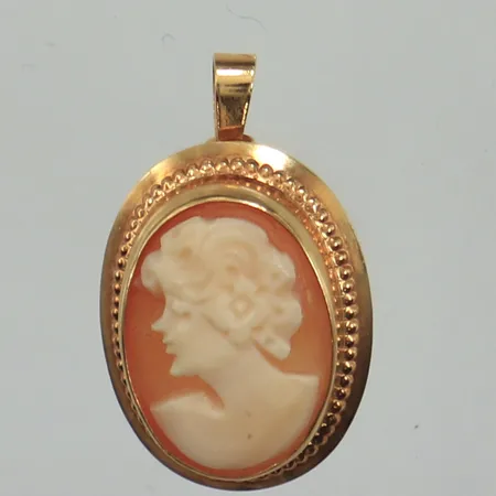 Hänge/brosch, camé, längd inkl ögla ca 20mm, bredd ca 13mm, defekt vid lås/nål, GFAB, 18K   Vikt: 1,3 g