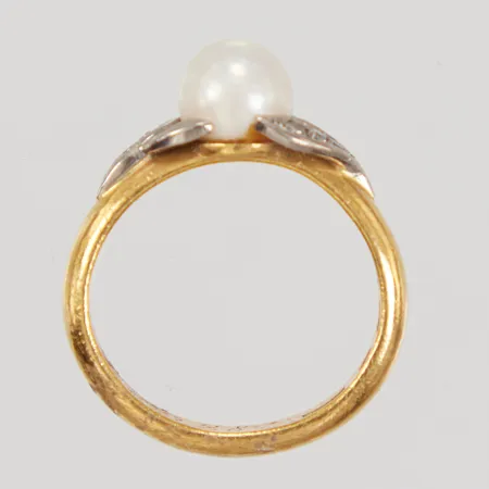 Bild av vara SE8.R1000843