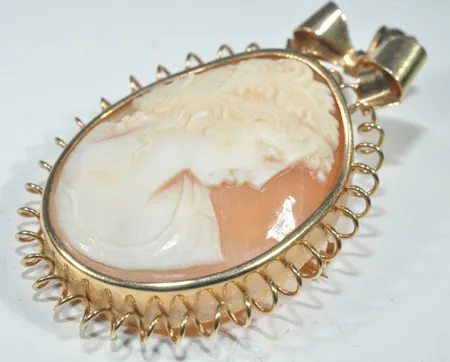 Hänge/brosch camé, längd 5 cm bredd 3 cm, 18k Vikt: 10,3 g