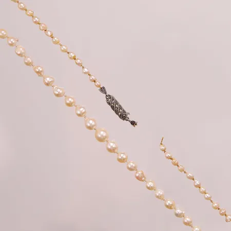 Pärlcollier, defekt, silverlås. Vikt: 0 g