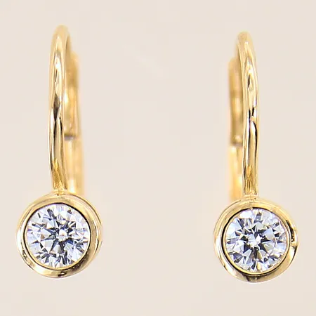 Ett par örhängen med vita stenar, 15x5mm, 14K Vikt: 2 g
