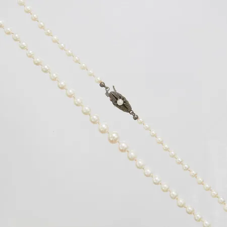Pärlcollier, 40,5cm, odlade saltvattenpärlor, silverlås med metalldelar. Vikt: 0 g