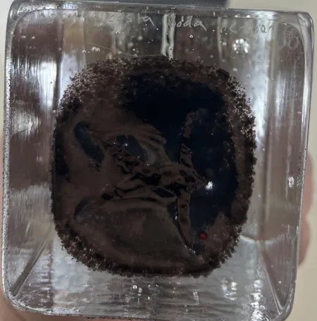 Bild av vara SE77.R204285