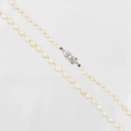 Pärlcollier odlade pärlor, doserad, bredd: 4-8mm, längd: 52cm, silverlås Vikt: 19,4 g