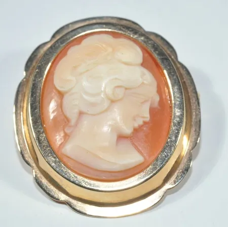 Hänge brosch/brosch, Längd 4 cm, bredd 2,5 cm, 18k Vikt: 6,5 g