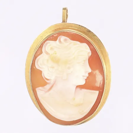 Hänge/Brosch med camé, 33x22mm inkl. ögla, importstämplad, skev nål, 18K Bruttovikt: 4,4g Vikt: 4,4 g