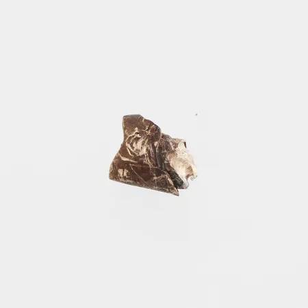 Tandguld, vikt ca 1 gram. Vikt: 1 g