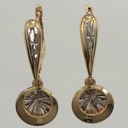 Ett par örhängen, mönsterdekor, längd 24mm, bredd 9,4mm, tvåfärgade, 14K Vikt: 2,4 g