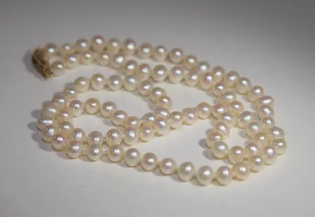 Bild av vara SE77.R21091