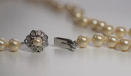 Bild av vara SE77.R21404