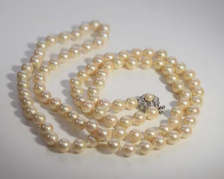 Bild av vara SE77.R21404