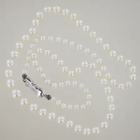 Bild av vara SE77.R204294