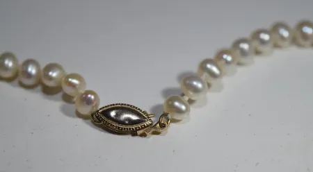 Bild av vara SE77.R21091