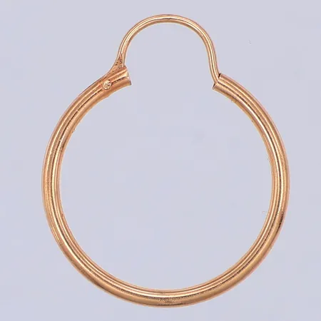 Örhänge, udda, 22mm, 18K Vikt: 0,4 g
