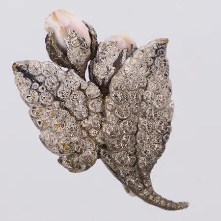 Brosch, längd 32,2mm, bredd 47,0mm, vitmetall Vikt: 0 g
