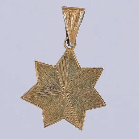 Hänge, stjärna, förgylld, 24mm, 925/1000 silver Vikt: 1,5 g
