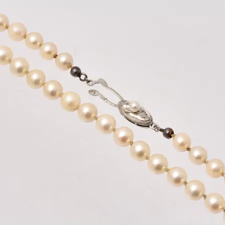Pärlcollier med silverlås, 50cm, odlade pärlor, bredd Ø6,5mm. Vikt: 0 g