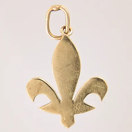 Hänge, 25x16mm, bucklig, repig, 14K  Vikt: 1,2 g