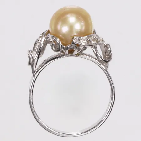 Bild av vara SE15.R256572