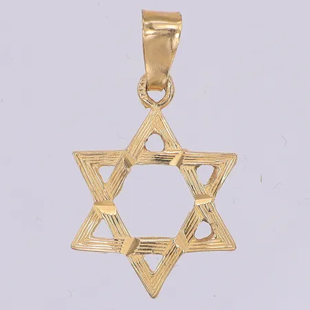 Hänge, Davidstjärna, 29mm, 14K Vikt: 2,1 g