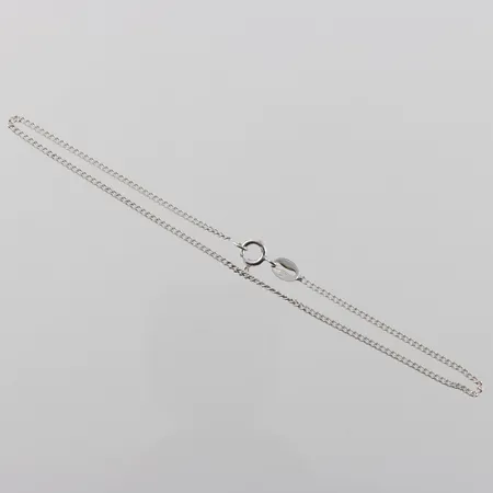 Fotlänkänk pansar, längd 24cm, bredd 1,6mm, silver  Vikt: 1,8 g