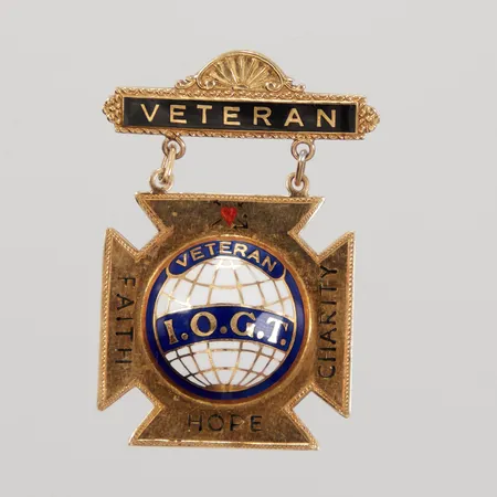 Brosch med emalj, Veteran I.O.G.T, mått ca 26 x 43mm, S & Co år 1944, 18K Vikt: 7,5 g