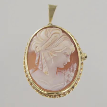 Hänge/brosch camé, höjd 4 cm, bredd 2,5 cm, 18K Vikt: 6,3 g