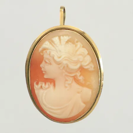 Hänge/Brosch, camé, längd 32,6mm, bredd 21,3mm, 18K Vikt: 3,5 g