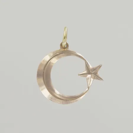 Hänge, längd 1,8 cm, bredd 1,5 cm, 18K Vikt: 1 g