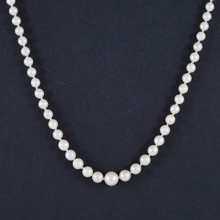 Pärlcollier (doserat) med odlade saltvattenspärlor Ø 3 - 7,5 mm, längd 51 cm. Lås i silver (835/1000) med imiterad pärla. Två extra pärlor (Ø 3 mm) medföljer. Vikt: 0 g