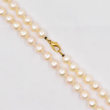 Bild av vara SE6.R14402