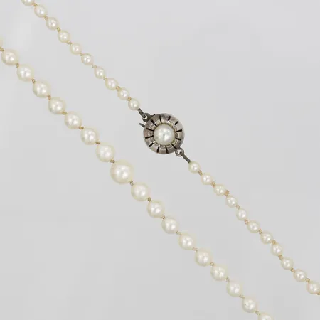 Pärlcollier, doserat, med odlade saltvattenpärlor, Ø 3,5-7mm, längd 45cm, lås i silver Vikt: 13,6 g