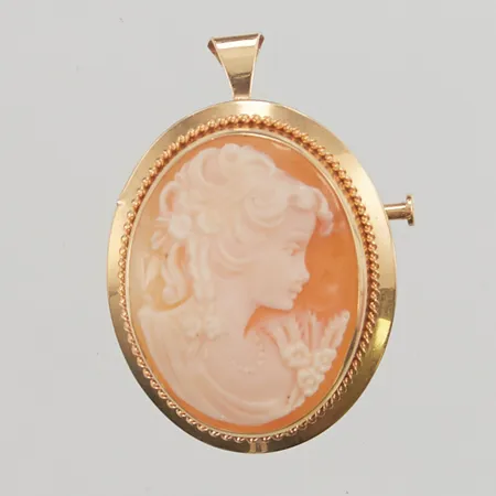 Hänge/Brosch, camé, 35x25mm, 18K, 5,1g.