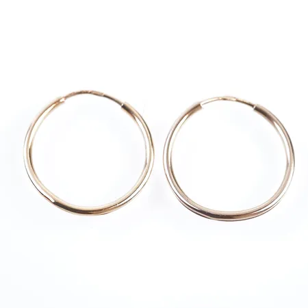 Örhängen, Ø24mm, bredd 2mm, 14k Vikt: 2,1 g