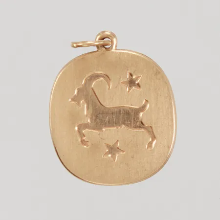 Hänge, stjärntecken stenbock, längd inklusive ögla 21mm, bredd 15,1mm, 18K, Vikt: 1,7 g