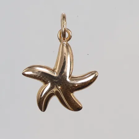 Hänge, sjöstjärna, 20x14mm, 18K Vikt: 1,5 g