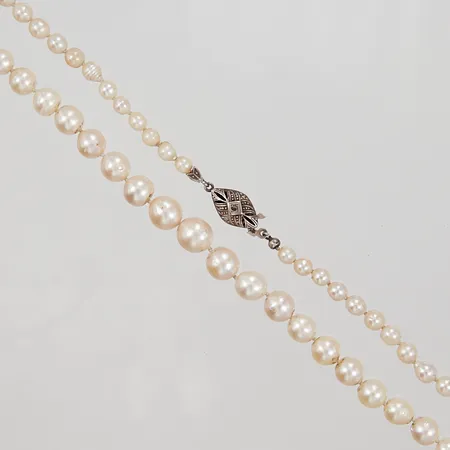 Pärlcollier, doserade odlade pärlor Ø 4,3 - 8,8mm, längd ca 51cm, bör träs om, Silverlås 925/1000 Vikt: 0 g