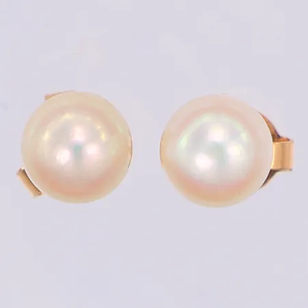 Ett par örhängen, odlade saltvattenpärlor Ø6,3mm, Hallbergs, 18K Vikt: 1,4 g