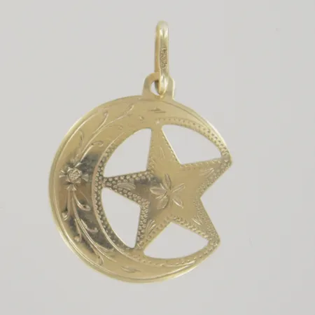 Hänge, längd 3 cm, bredd 2 cm, 14K Vikt: 1,6 g