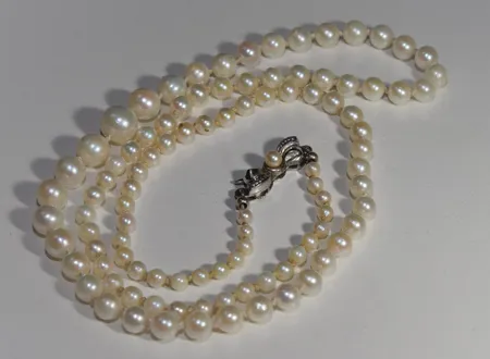 Bild av vara SE77.R20659