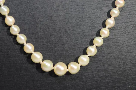 Bild av vara SE77.R20660