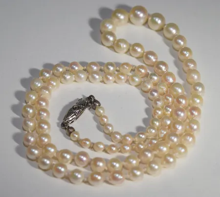 Bild av vara SE77.R20660