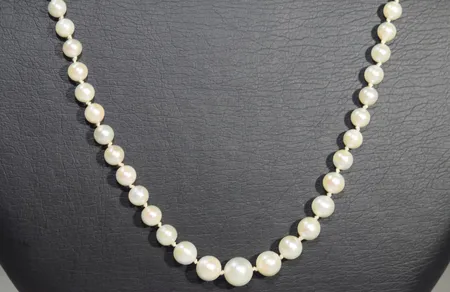 Bild av vara SE77.R20659